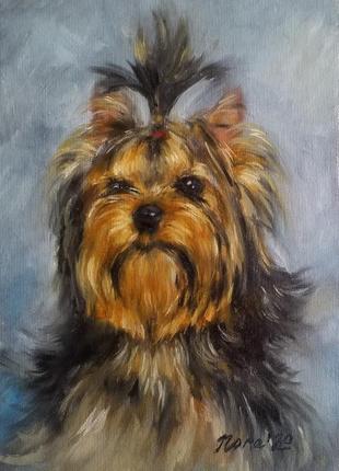 Портрет собаки на замовлення портрет вихованця портрет тварини3 фото