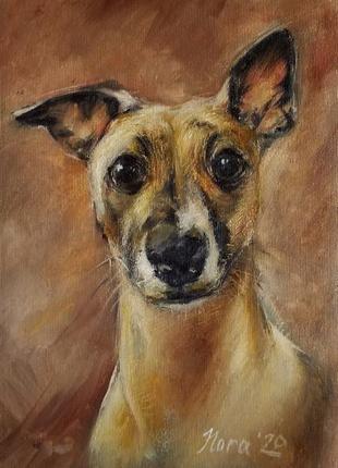 Портрет собаки на замовлення портрет вихованця портрет тварини2 фото