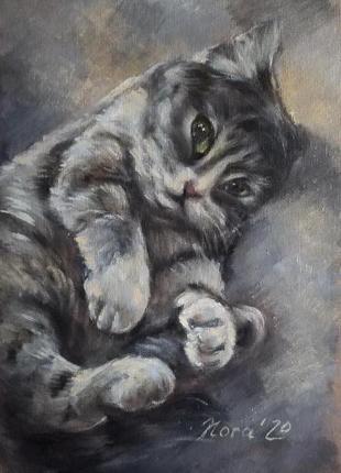 Портрет рудого кота на замовлення портрет улюбленця6 фото