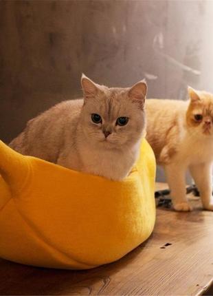 Мягкая лежанка для кота или маленькой собаки. лежак банан4 фото