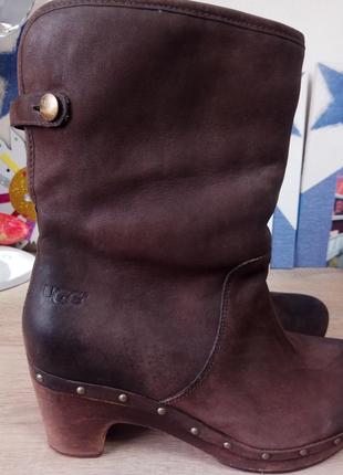 Чоботи ugg чоботи зимові