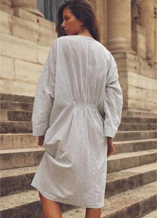 Платье рубашка до колена в полоску из хлопка с длинным рукавом zara m м размер1 фото