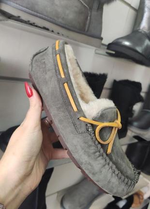 Женские мокасины угги серые ugg australia dakota 56123 фото