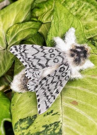 Брошь міль нічний метелик, сіра комаха, прикраса на шарф пальто5 фото