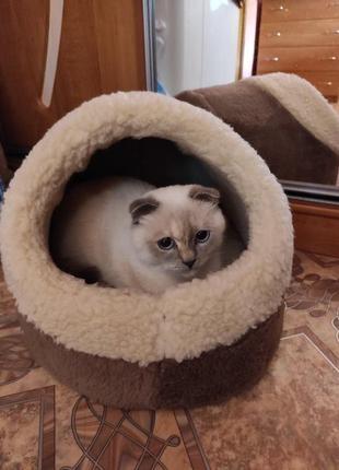 Домик из меха для кота, кошки или собачки теплый и удобный4 фото