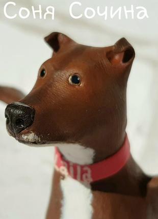 Питбуль пит-бультерьер собака пес портретная фигурка ручной работы3 фото