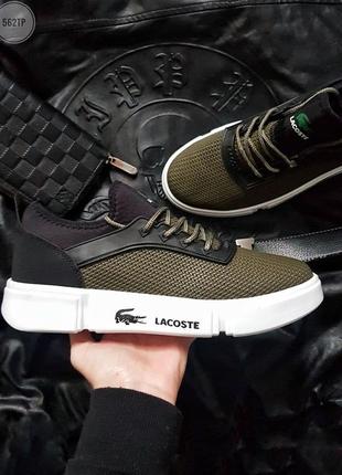 Кеды мужские lacoste khaki хаки (лакост кеди)