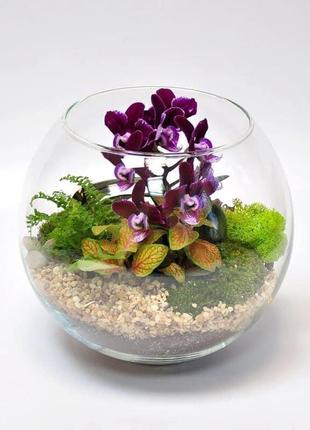 Флораріум "орхідаріум" h 20 см, діаметр 22 см, куля, aquarium deko.2 фото