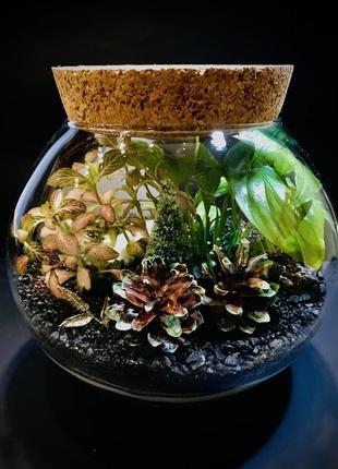 Флораріум "ялинка" з освітленям.  h 17 см, ø 25 см, куля, aquarium deko.1 фото