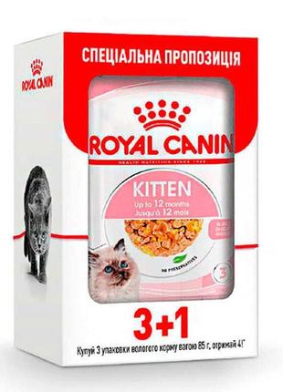 Royal canin kitten jelly (роял канин) влажный корм для котят кусочки в желе - акция! 3+1 шт