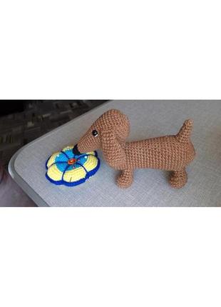 Собачка такса.