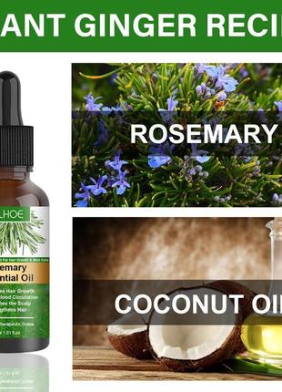 Эфирное масло розмарина и кокоса для ухода за волосами для роста волос от секущихся кончиков