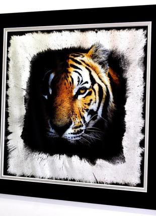 Картина за дзеркалом sunny persian tiger №18021 фото