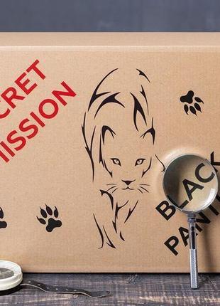 Квест про секретных агентов "secret mission"black panther""