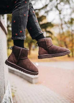 Ugg classic mini chocolate угги уггі сапоги