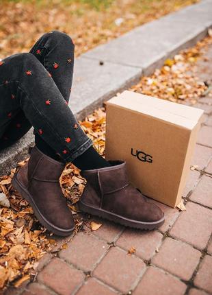 Ugg classic mini chocolate угги уггі сапоги2 фото