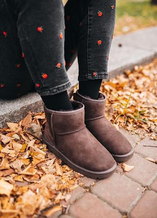 Ugg classic mini chocolate угги уггі сапоги3 фото