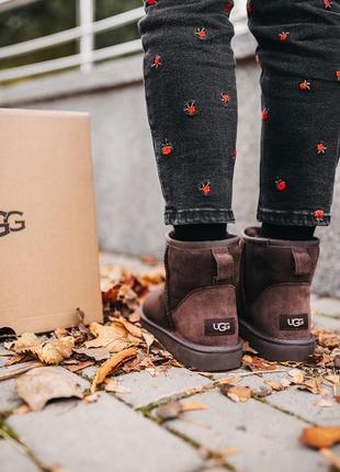 Ugg classic mini chocolate угги уггі сапоги4 фото