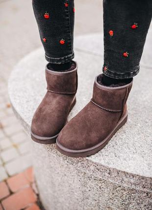 Ugg classic mini chocolate угги уггі сапоги10 фото