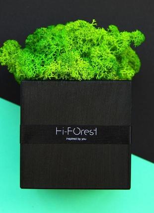 Еко-декор зі скандинавським мохом hi-forest cube для дому та офісу. 9х9 см. подарункова упаковка.3 фото