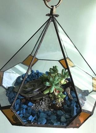 Геометрический подвесной стеклянный флорариум в форме слезы для мини сада4 фото