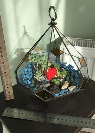 Геометрический подвесной стеклянный флорариум в форме слезы для мини сада5 фото