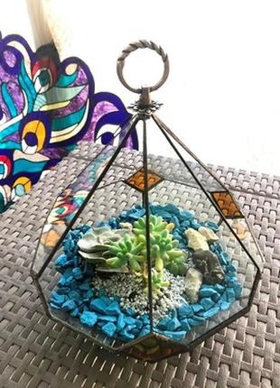 Геометрический подвесной стеклянный флорариум в форме слезы для мини сада4 фото
