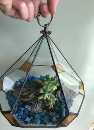 Геометрический подвесной стеклянный флорариум в форме слезы для мини сада