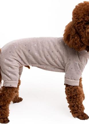 Одежда для собак костюм