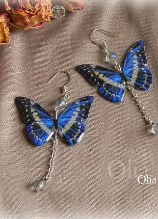 Серьги бабочки синие