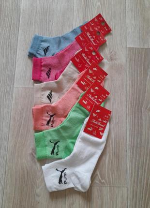 Носки❤️ женские короткие хлопок низкие