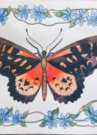 Иллюстрация из серии про бабочек1 фото
