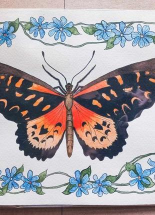 Иллюстрация из серии про бабочек2 фото