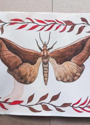 Четверта ілюстрація з серії про метеликів2 фото