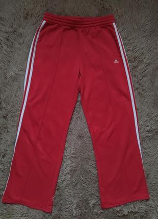 Женские оригинальные брюки adidas1 фото