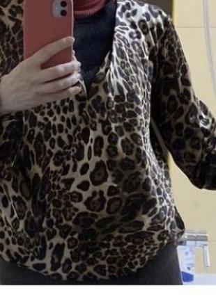 Shein чудова леопардова блузка4 фото