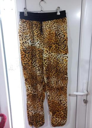 Леопардові брюки1 фото