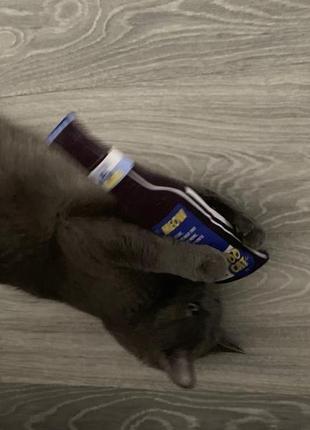 Beermeow  игрушка пиво для котиков mur stout  с кошачьей мятой6 фото