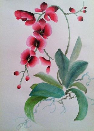 Картина "орхидеи"2 фото