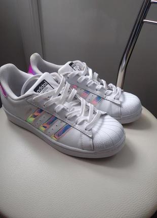 Кроссовки adidas superstar