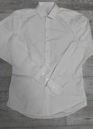 Рубашка мужская белая длинный рукав р 44-46 бренд "next"