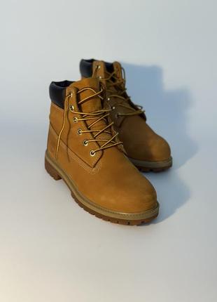 Timberland1 фото