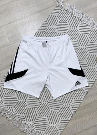 Шорти спортивнi adidas (m)