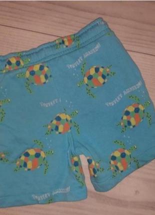 Шорти бавовна 3