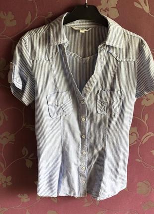 Рубашка-блуза из хлопка tally weijl1 фото