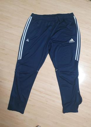 Спортивні штани adidas p.xxl1 фото