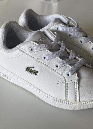 Lacoste2 фото