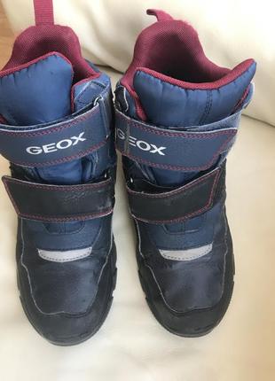 Ботинки зимние geox1 фото