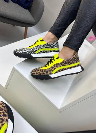 Ексклюзивні леопардові кросівки колір на вибір