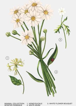 Zara spirited romance парфумована вода, 100 мл